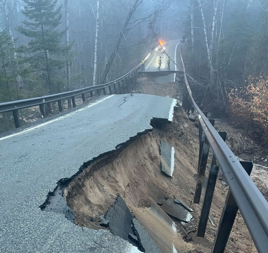Tunnel of Trees Collapse
